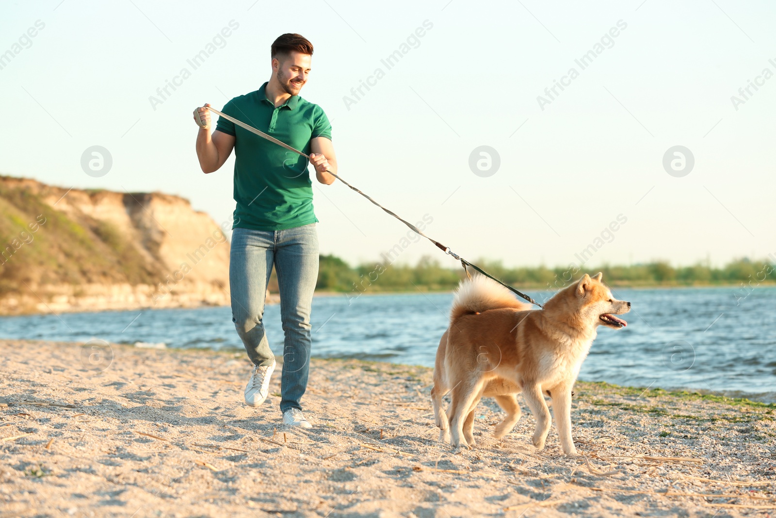 Photo of Young man walking his adorable Akita Inu dogs near river