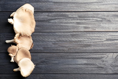 Delicious organic oyster mushrooms on wooden background, top view with space for text