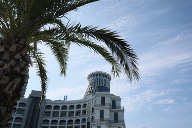 BATUMI, GEORGIA - JUNE 10, 2022: Sea Towers Suit hotel and palm tree against blue sky, low angle view