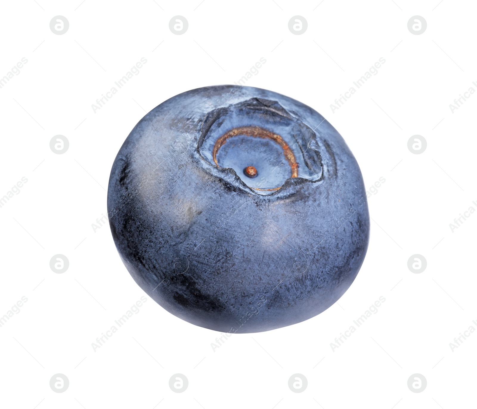 Photo of One fresh ripe blueberry isolated on white