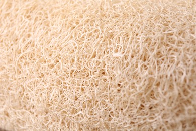 Photo of Loofah sponge as background, closeup. Personal hygiene product