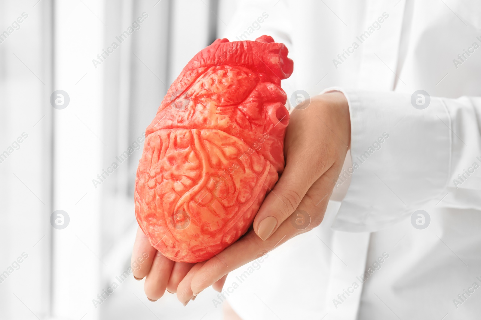 Photo of Doctor holding model of heart, closeup. Heart attack concept