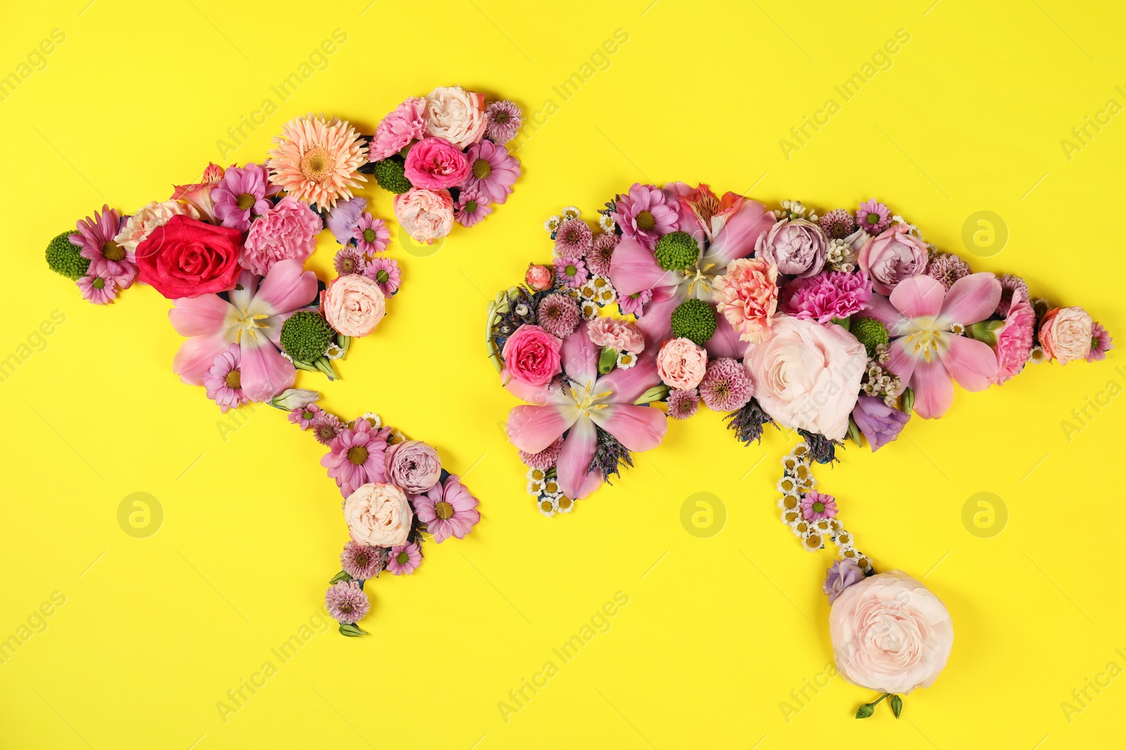 Photo of World map made of different beautiful flowers on yellow background, flat lay