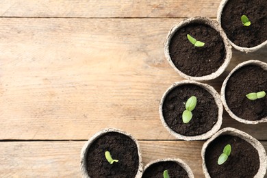 Young seedlings in peat pots on wooden table, flat lay. Space for text