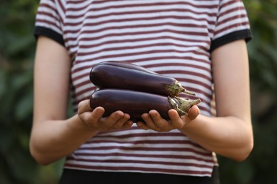 Woman holding ripe eggplants on blurred green background, closeup