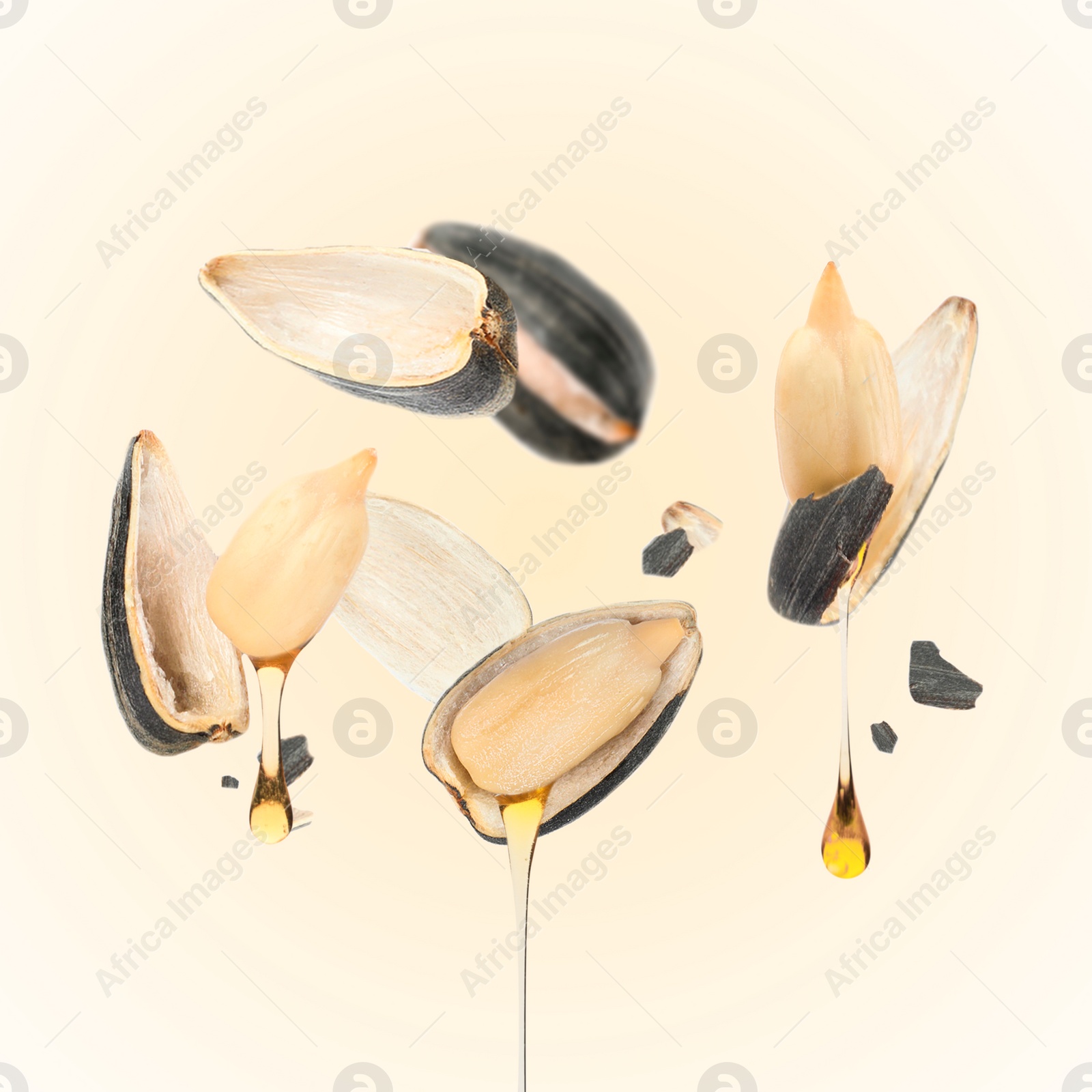 Image of Sunflower seeds with oil and husk on beige gradient background