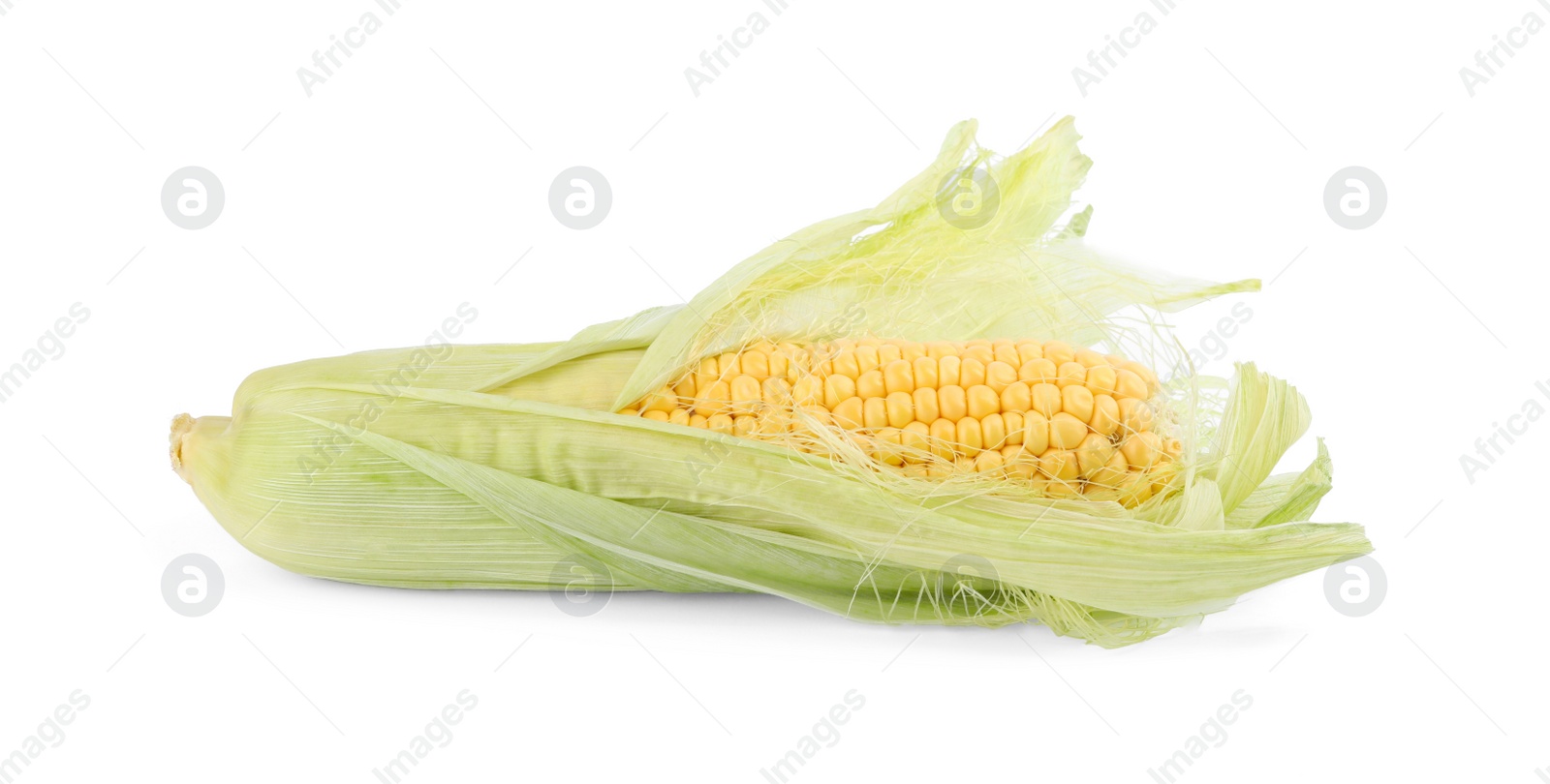 Photo of Ripe raw corn cob with husk isolated on white