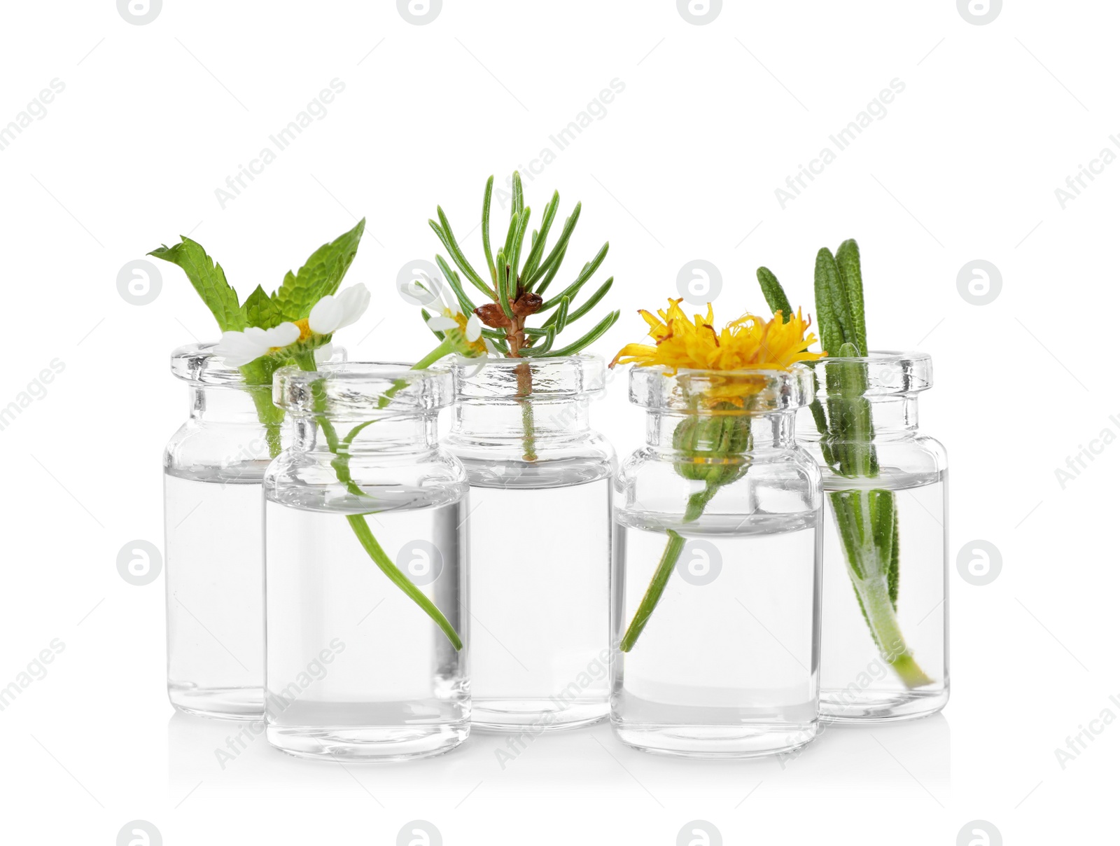 Photo of Glass bottles of different essential oils with plants on white background