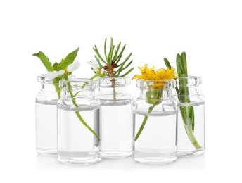 Photo of Glass bottles of different essential oils with plants on white background