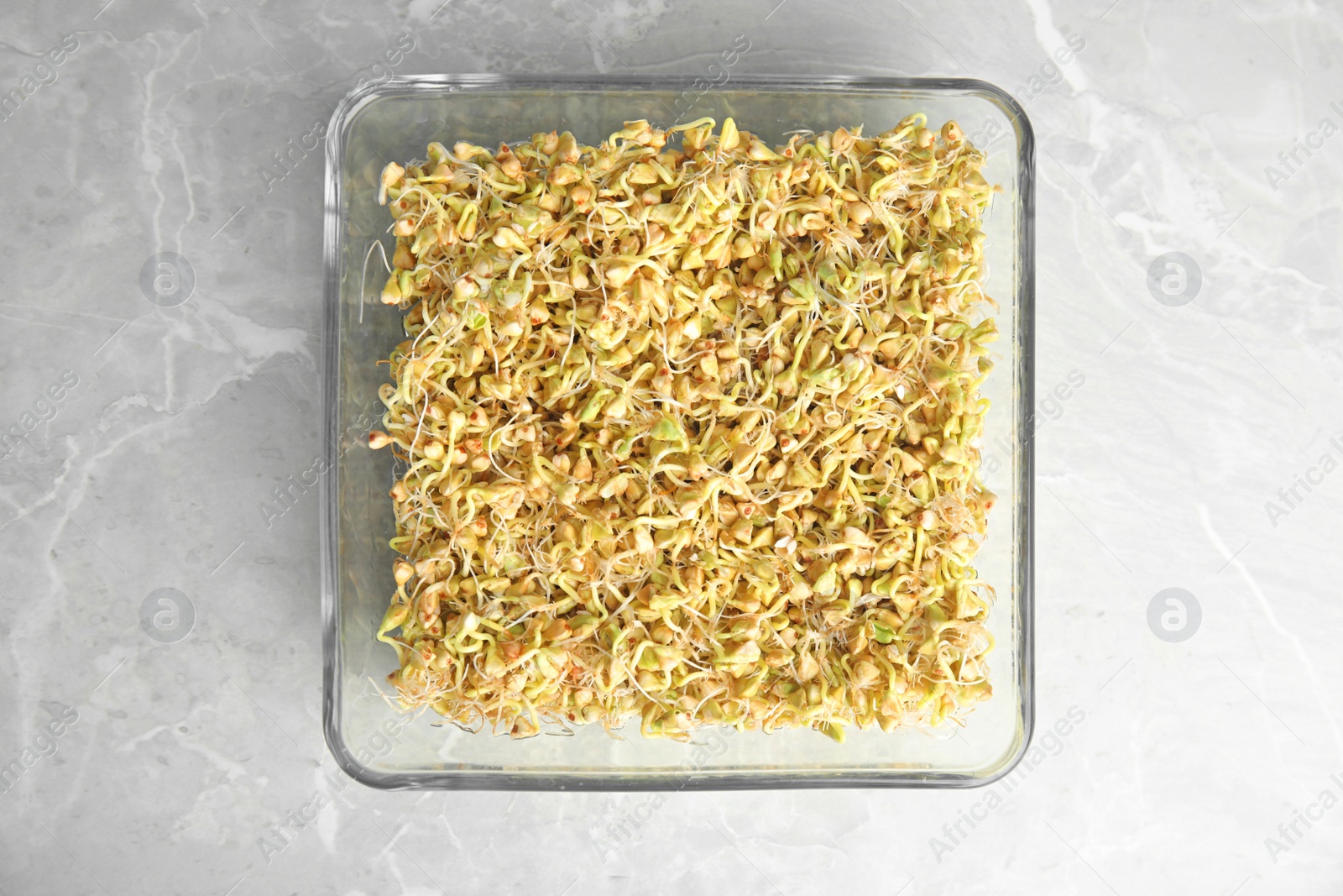 Photo of Glass bowl with sprouted green buckwheat on light grey table, top view