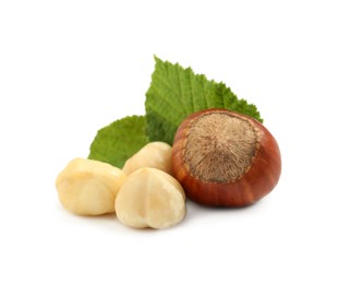 Tasty organic hazelnuts and leaves on white background