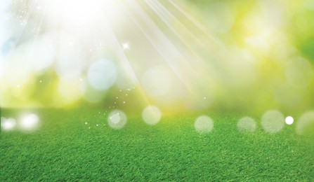 Image of Vibrant green grass outdoors on sunny day. Banner design
