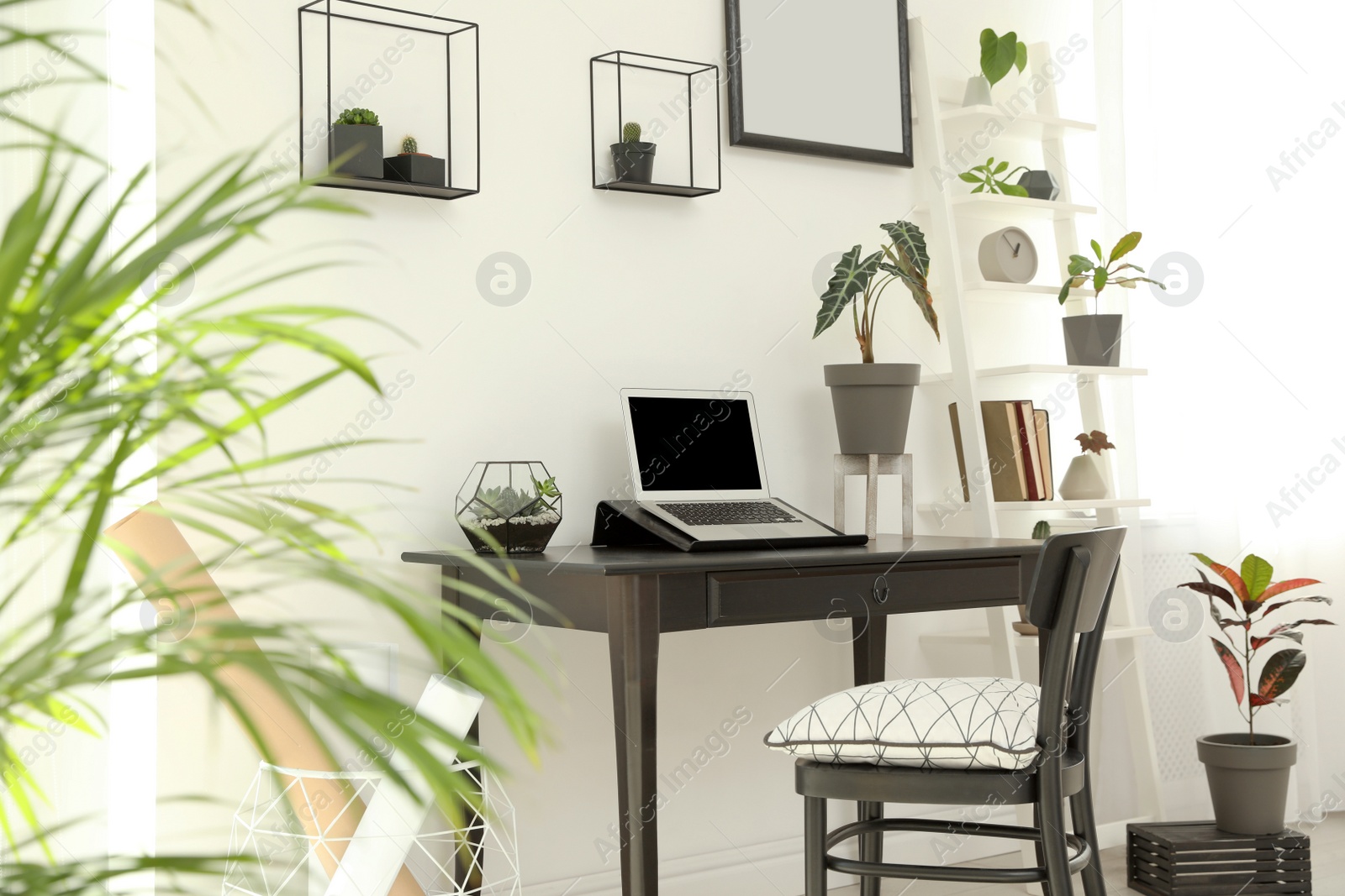 Photo of Trendy room interior with different home plants and laptop on table. Space for text