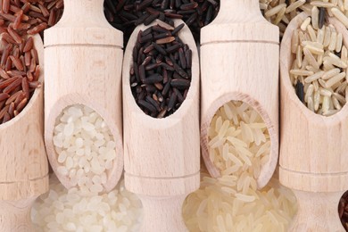 Photo of Scoops with different sorts of rice as background, top view