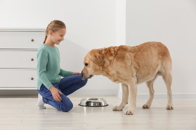 Cute child feeding her Labrador Retriever at home. Adorable pet