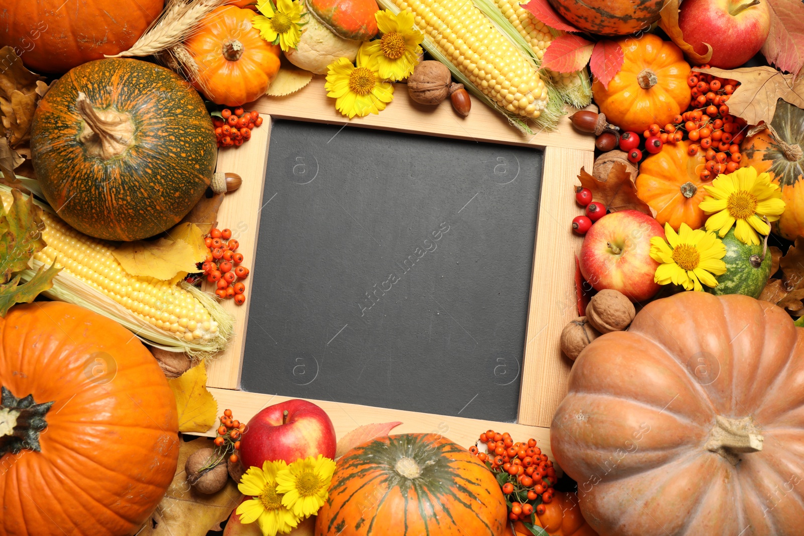 Photo of Composition of blank blackboard with space for text, ripe pumpkins and autumn leaves as background, top view. Happy Thanksgiving day