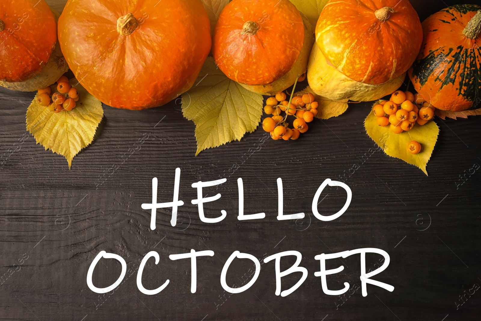 Image of Hello October text, pumpkins on dark wooden background, flat lay