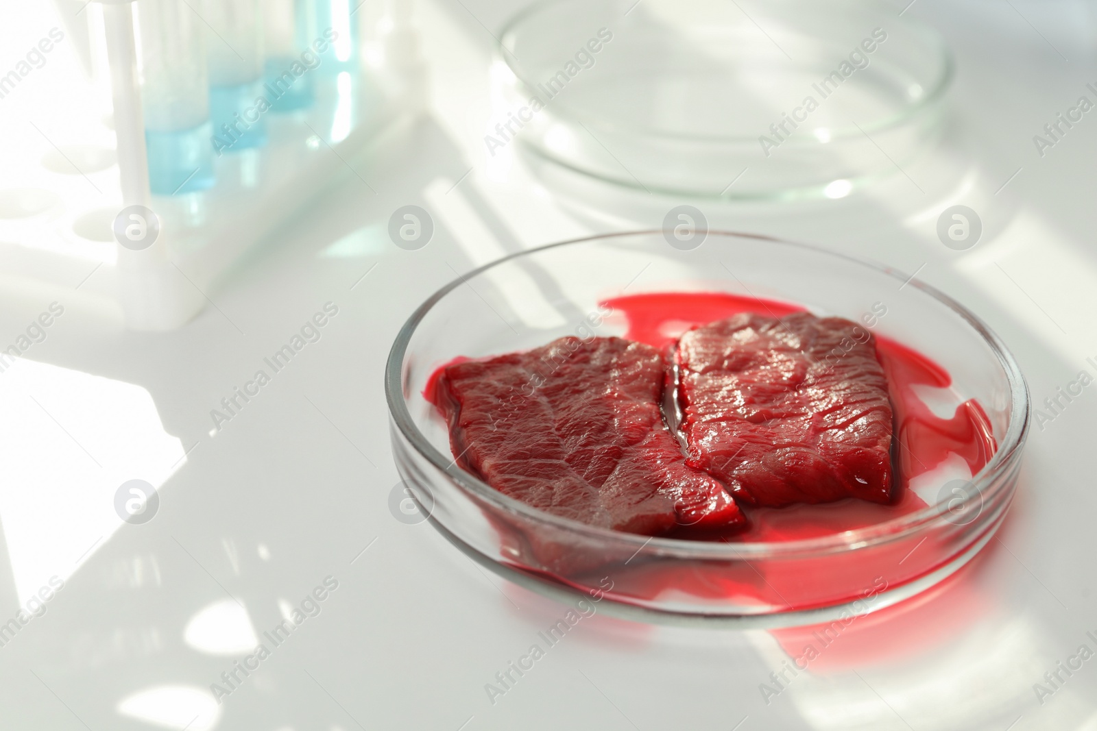 Photo of Petri dish with pieces of raw cultured meat on white table in laboratory, closeup. Space for text