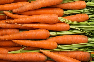 Photo of Many fresh ripe carrots as background, top view