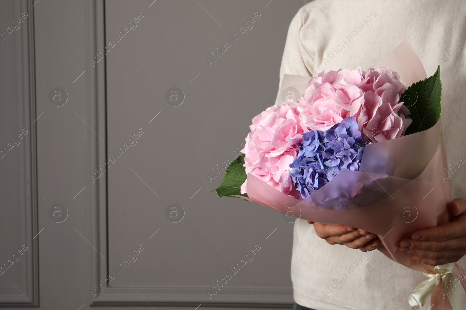 Photo of Woman with bouquet of beautiful hortensia flowers near grey wall, closeup. space for text