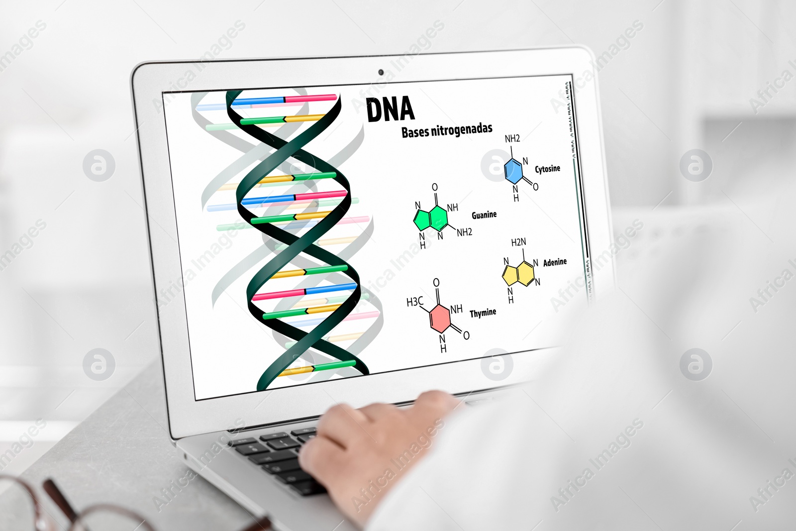 Image of DNA research. Scientist working in office, closeup