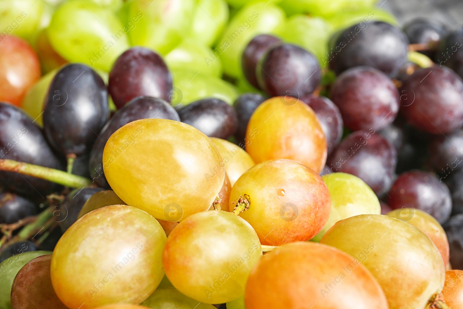 Photo of Fresh ripe juicy grapes as background, closeup