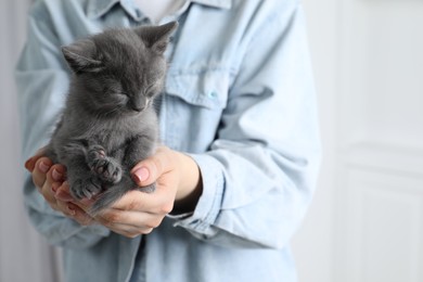 Photo of Woman with cute fluffy kitten indoors, closeup