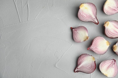 Ripe cut red onions on table, top view