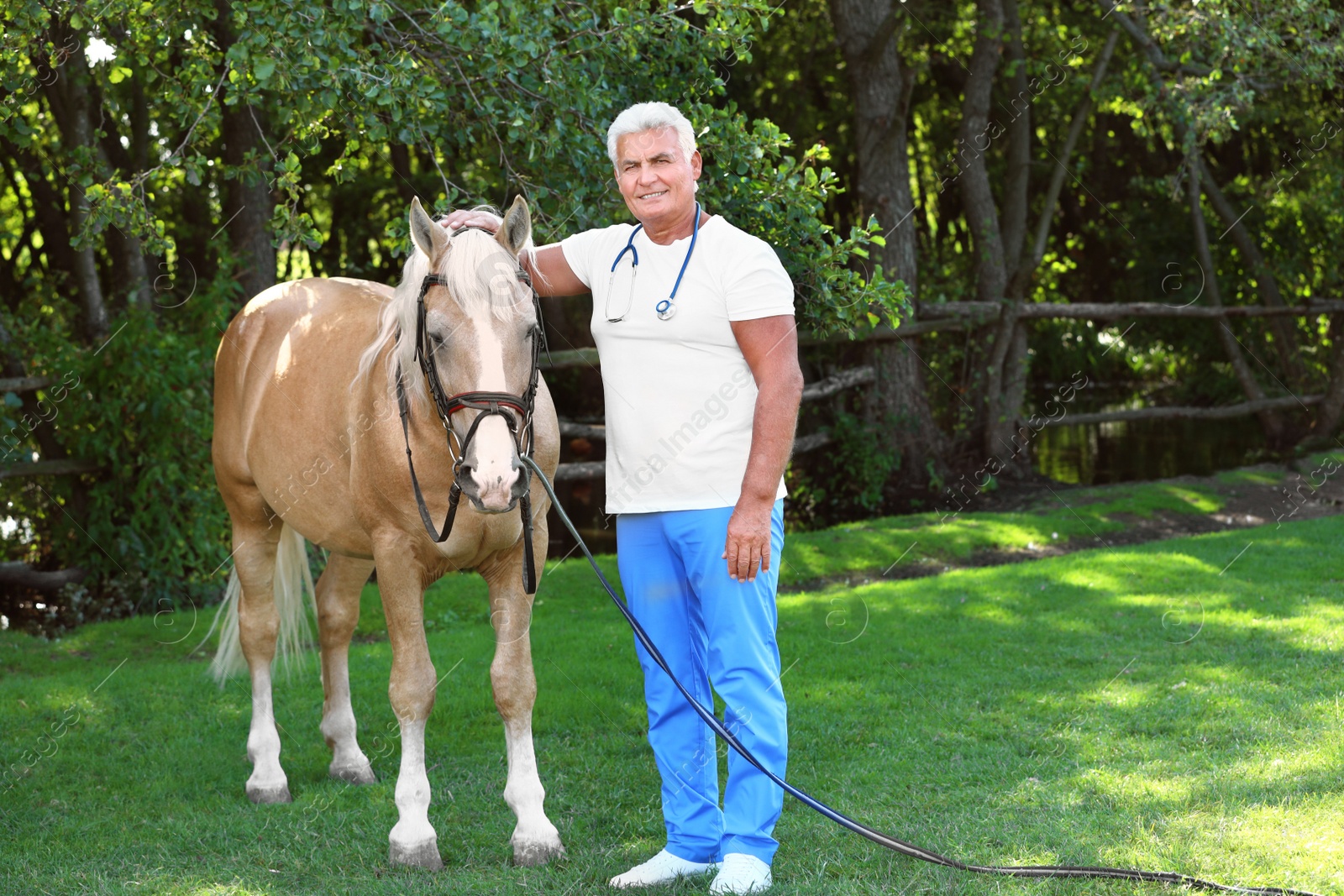 Photo of Senior veterinarian with palomino horse outdoors on sunny day