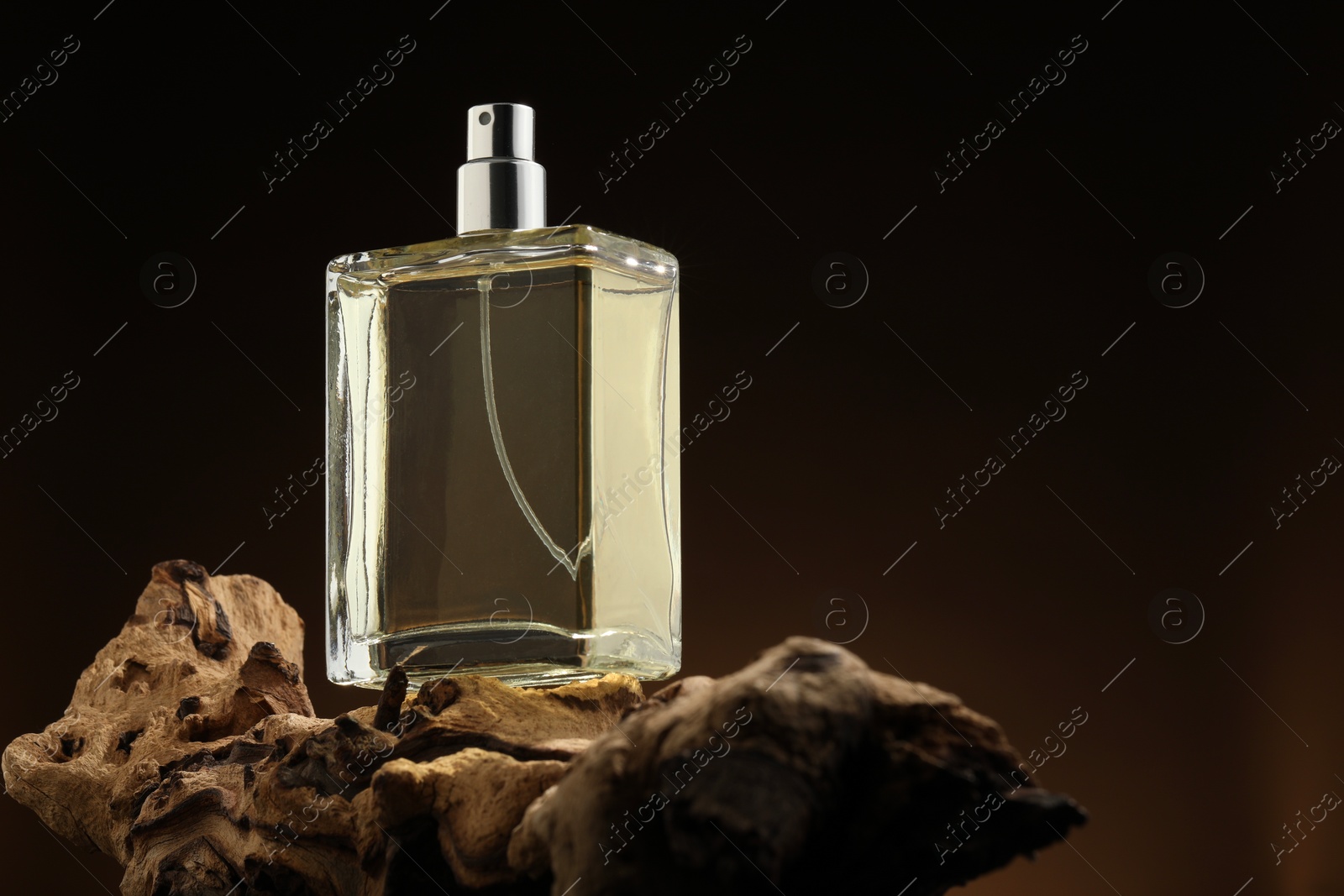 Photo of Luxury men`s perfume in bottle against brown background, space for text