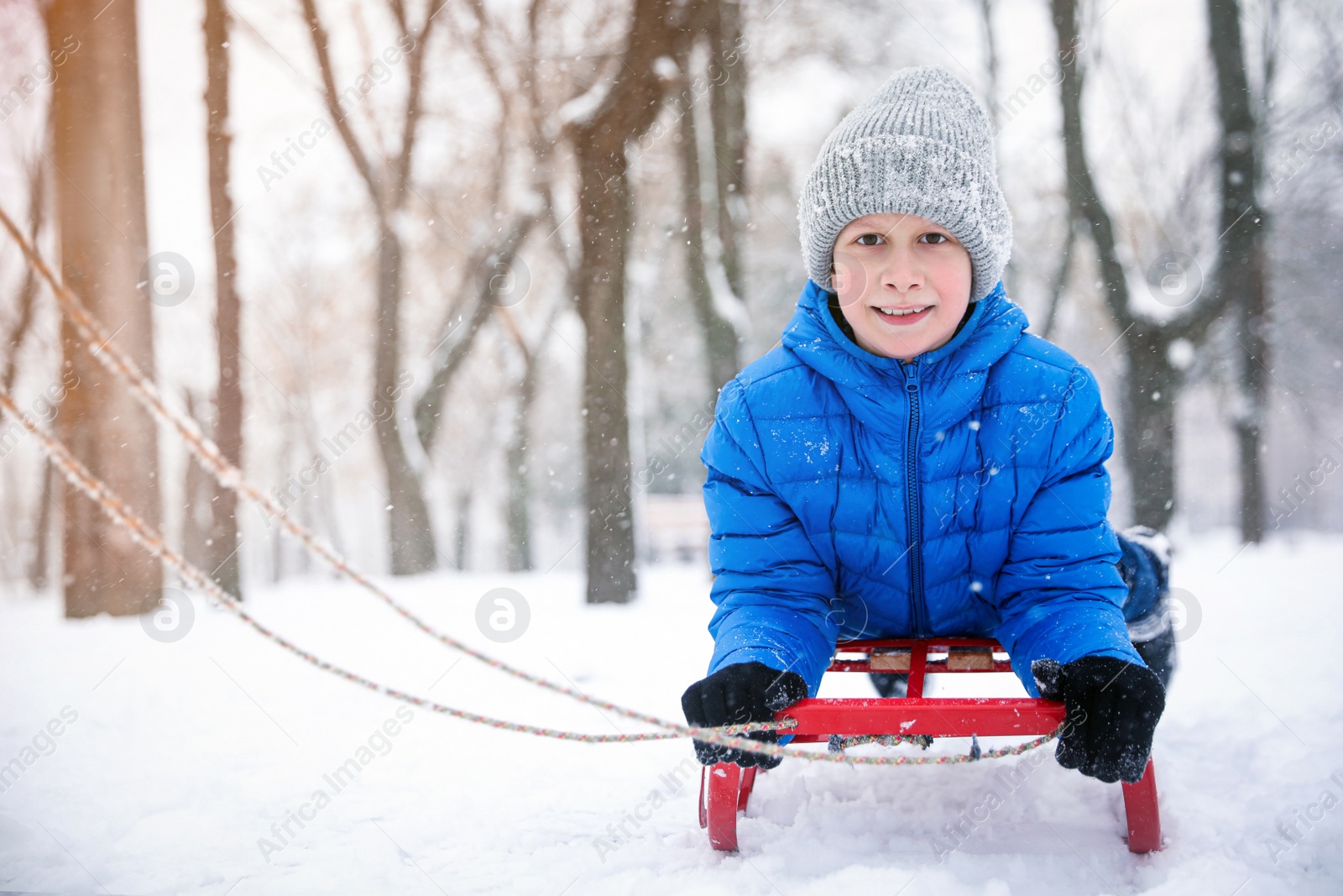 Photo of Cute little boy enjoying sleigh ride outdoors on winter day, space for text