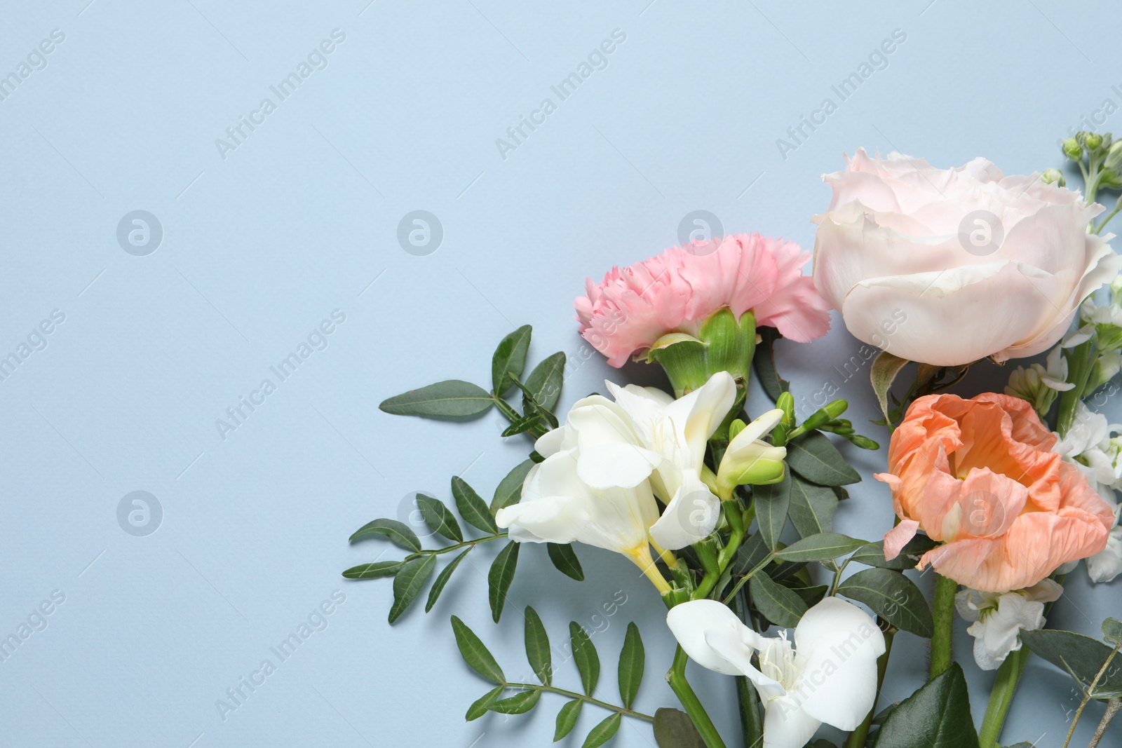 Photo of Different beautiful flowers on light background, flat lay. Space for text