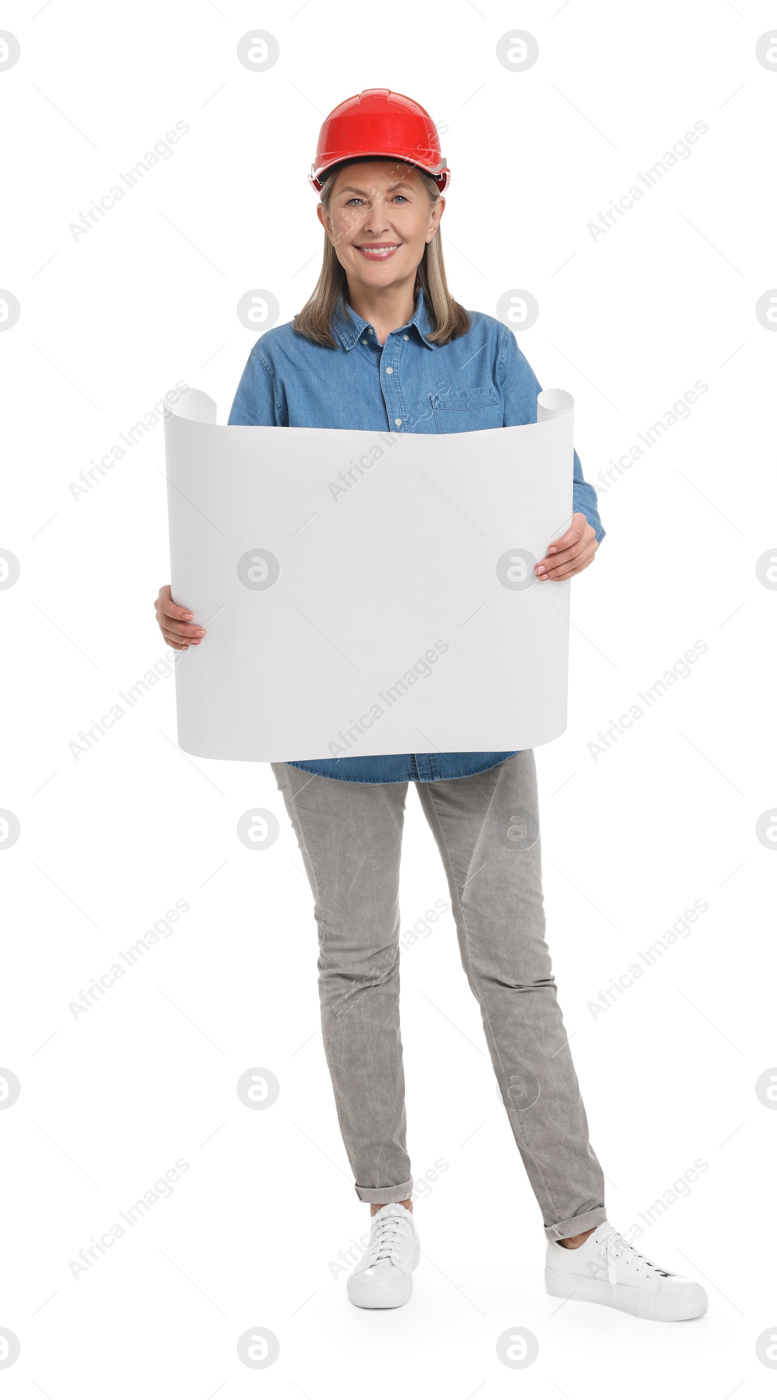 Photo of Architect in hard hat with draft on white background