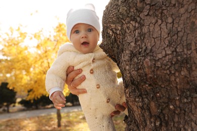 Photo of Father holding his baby daughter near tree in park on sunny autumn day, closeup