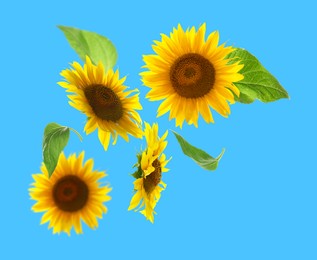 Image of Bright sunflowers in air on light blue background