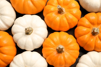 Photo of Many white and orange pumpkins on table, flat lay