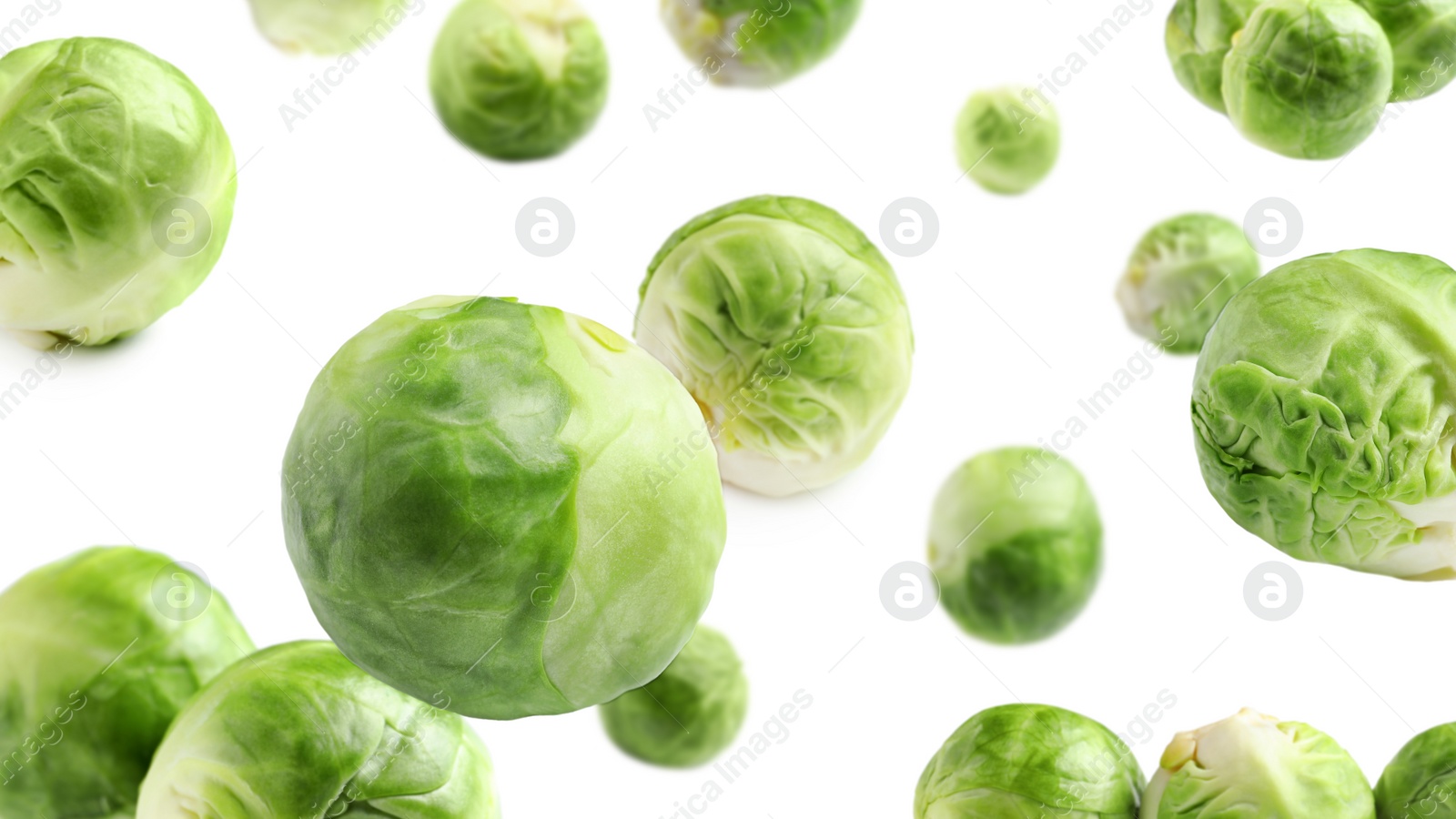 Image of Fresh Brussels sprouts falling on white background