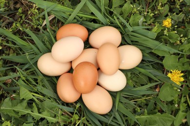Fresh chicken eggs on green grass outdoors, flat lay