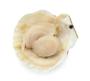 Photo of Fresh raw scallop in shell isolated on white, top view