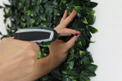 Photo of Man with screwdriver installing green artificial plant panel on white wall, closeup