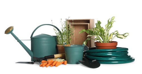 Gardening tools and houseplants on white background