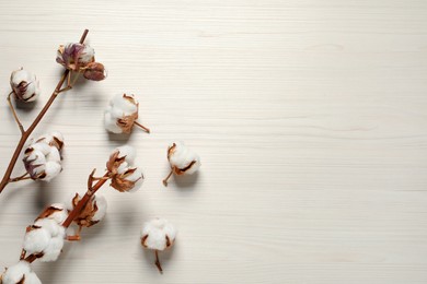 Photo of Dried cotton branches with fluffy flowers on white wooden table, flat lay. Space for text