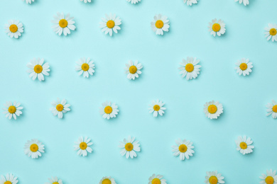 Flat lay composition with beautiful chamomiles on light blue background