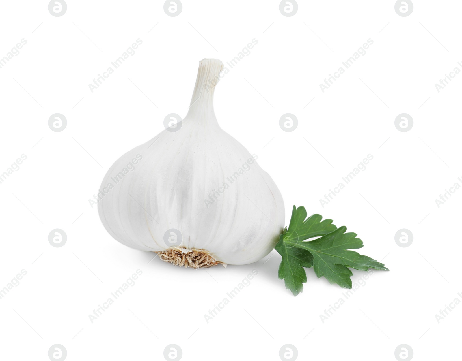 Photo of Fresh garlic bulb and parsley isolated on white