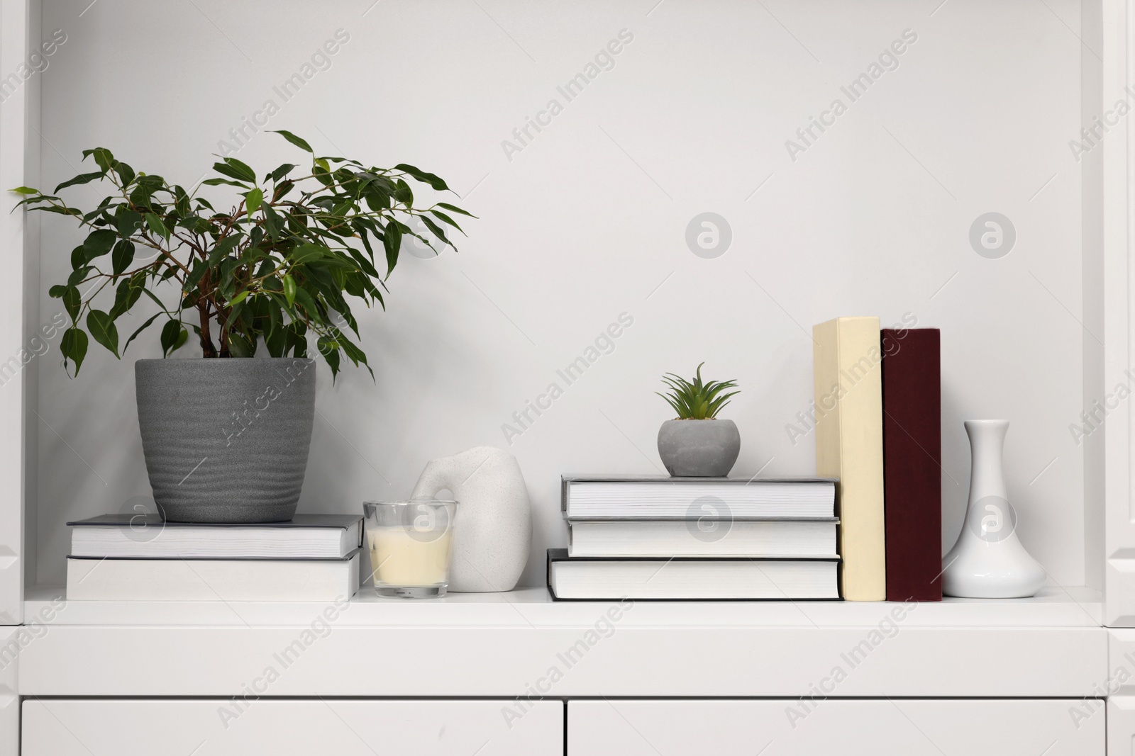 Photo of Interior design. Houseplant, books and decor elements on white shelf