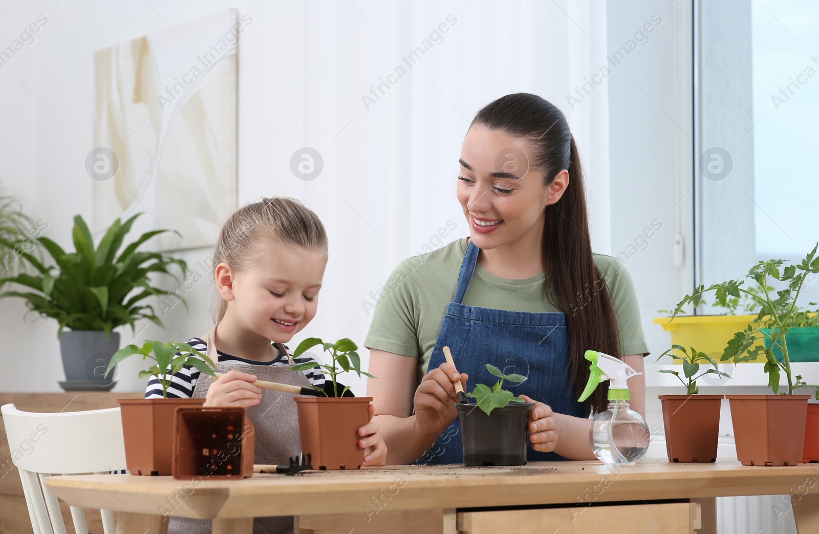 Photo of Mother and daughter planting seedlings into pots together at wooden table in room