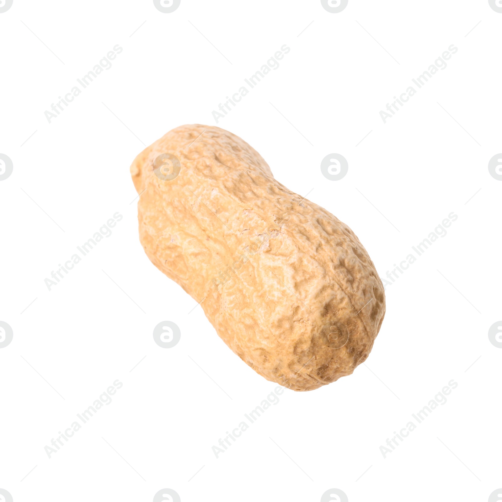 Photo of One fresh unpeeled peanut isolated on white