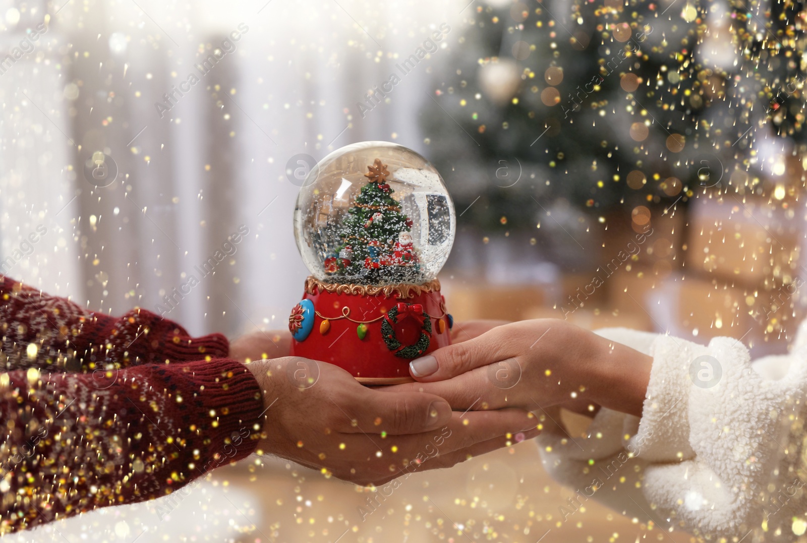 Image of Couple holding snow globe with Christmas tree at home, closeup