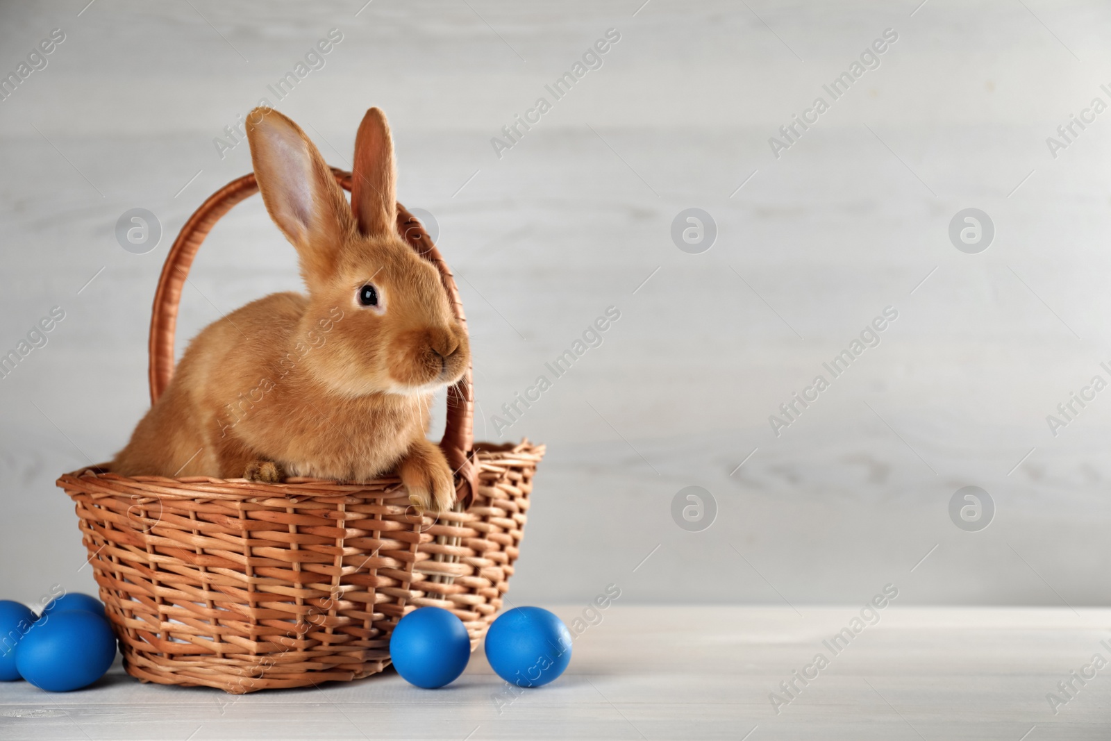 Photo of Cute bunny, basket and Easter eggs on white table. Space for text