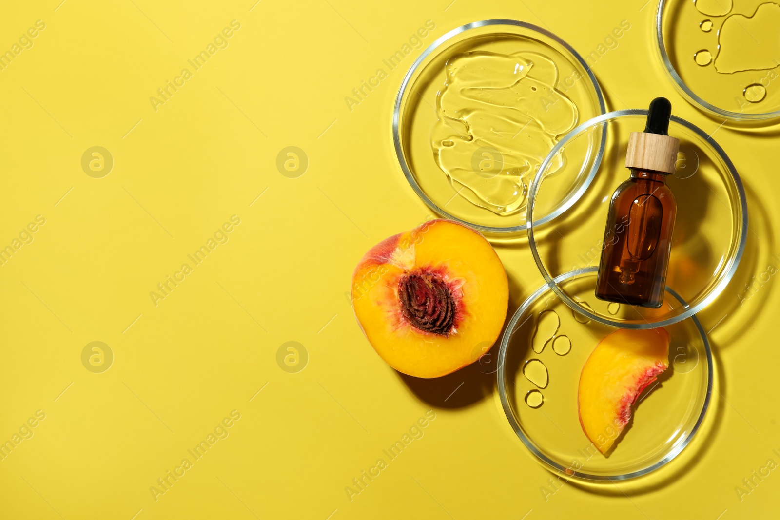 Photo of Flat lay composition with Petri dishes on yellow background. Space for text